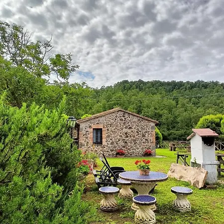 Meridiano 12 * Bolsena
