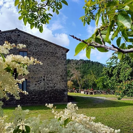 Holiday home Meridiano 12 Bolsena