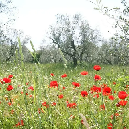 Holiday home Meridiano 12